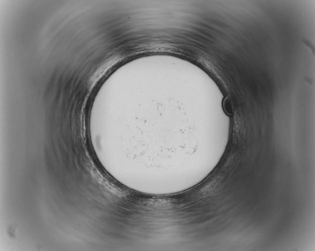 X0000102391082200808221820