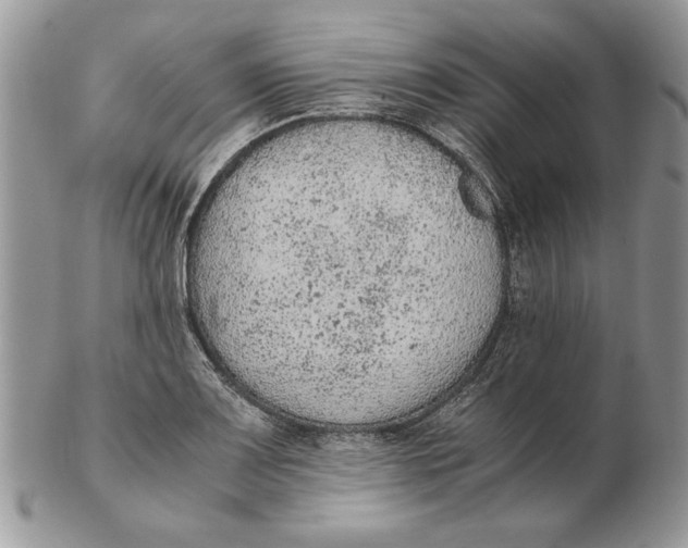 X0000102391083200808221820