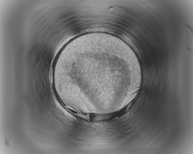 X0000102391084200808221820