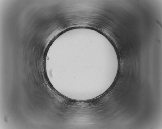 X0000102391085200808221819