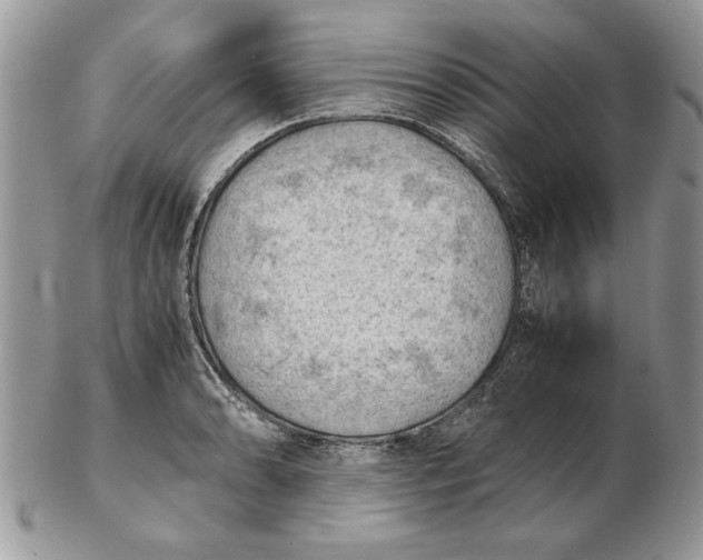 X0000102391086200808221819