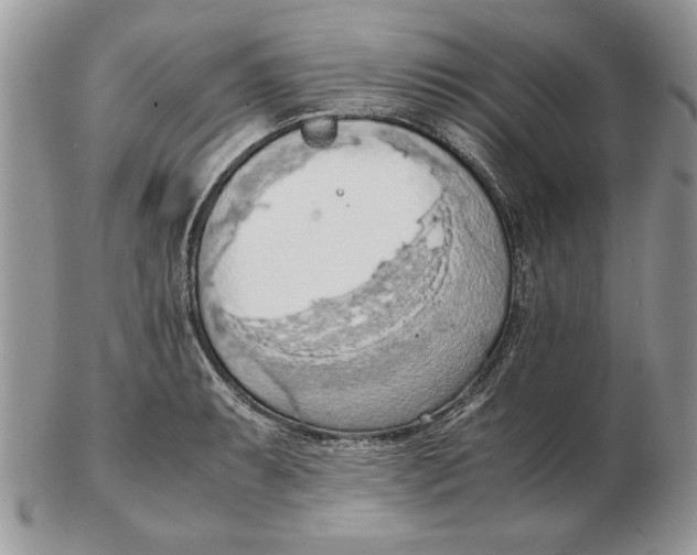 X0000102391087200808221819