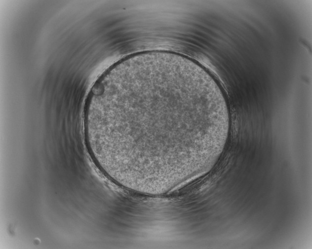 X0000102391088200808221819