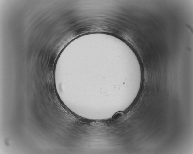 X0000102391089200808221819