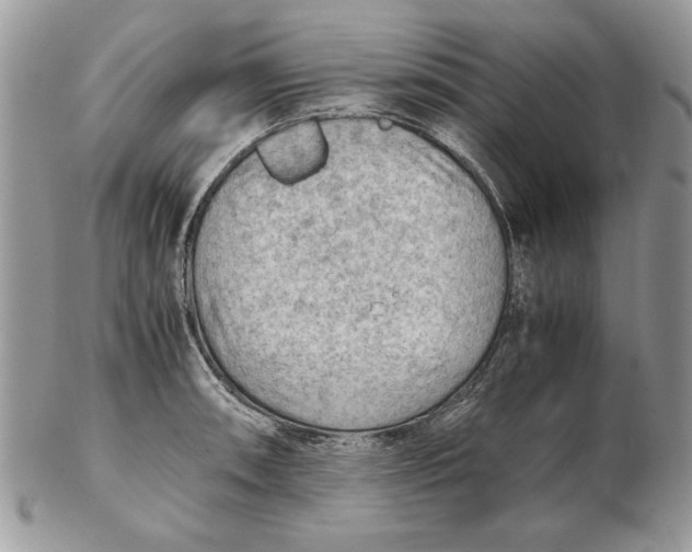 X0000102391090200808221819