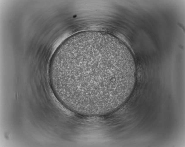 X0000102391091200808221819