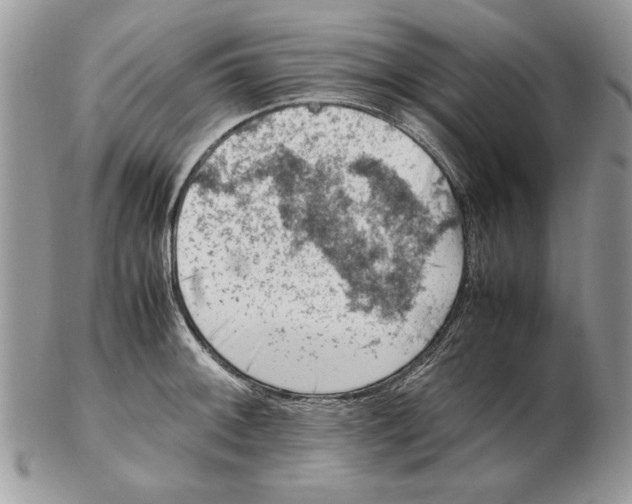 X0000102391092200808221819