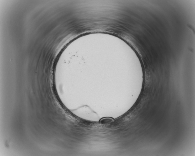 X0000102391093200808221819