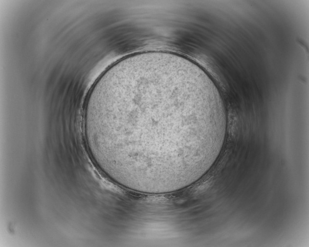 X0000102391094200808221819