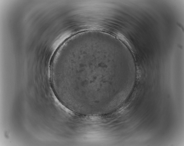 X0000102391095200808221819