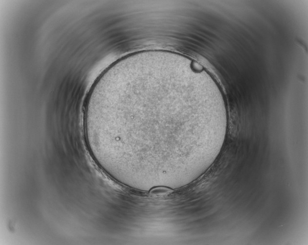 X0000102391096200808221819