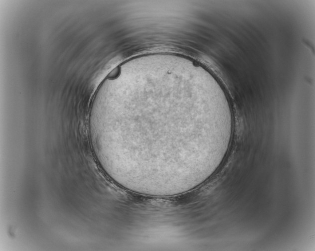 X0000102391097200808221819