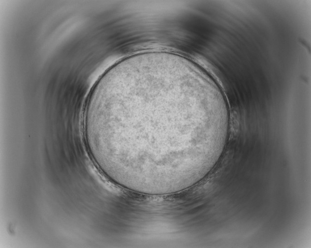 X0000102391098200808221819