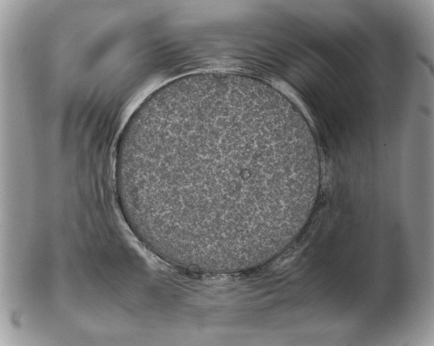 X0000102391099200808221819