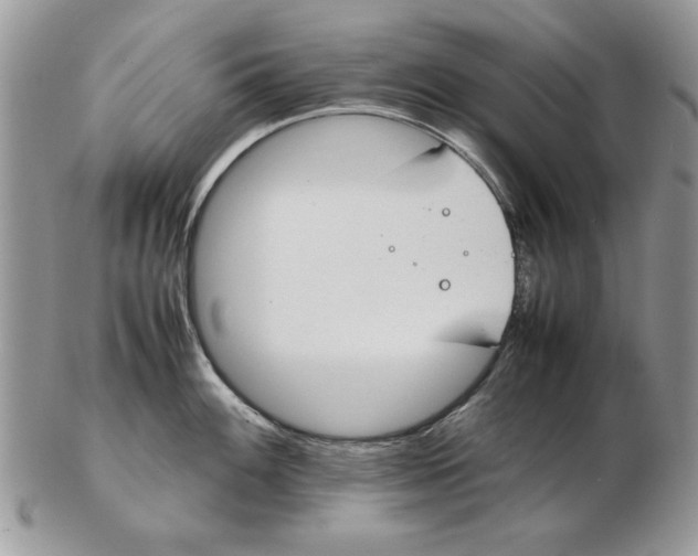 X0000102391100200808221819