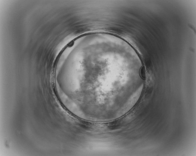 X0000102391101200808221819