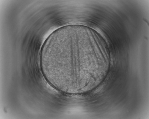 X0000102391102200808221819