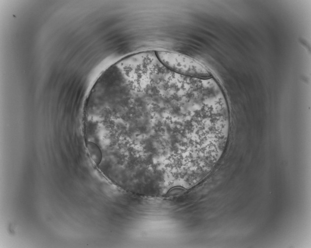 X0000102391104200808221819