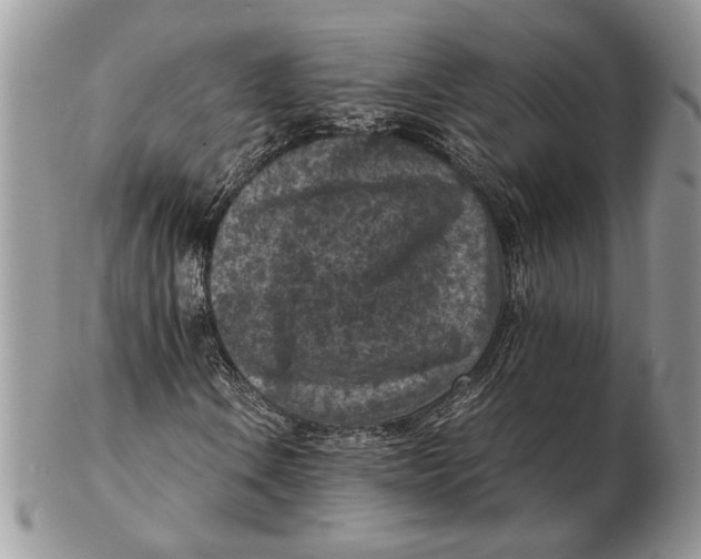 X0000102391106200808221818