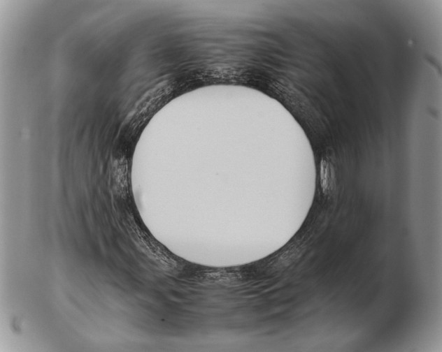 X0000102391107200808221819