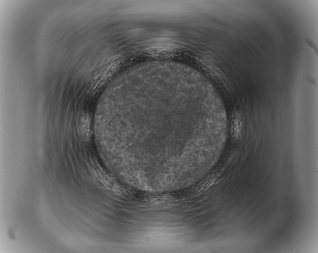 X0000102391108200808221819