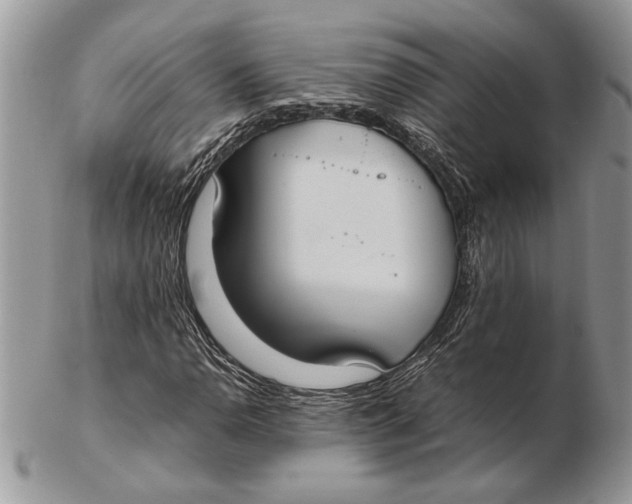 X0000102391110200808221819