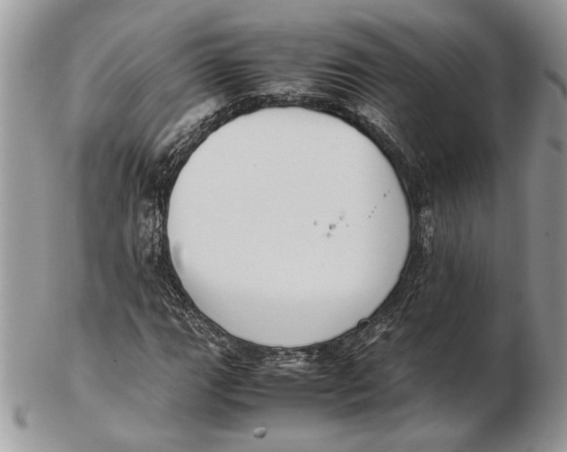 X0000102391111200808221819