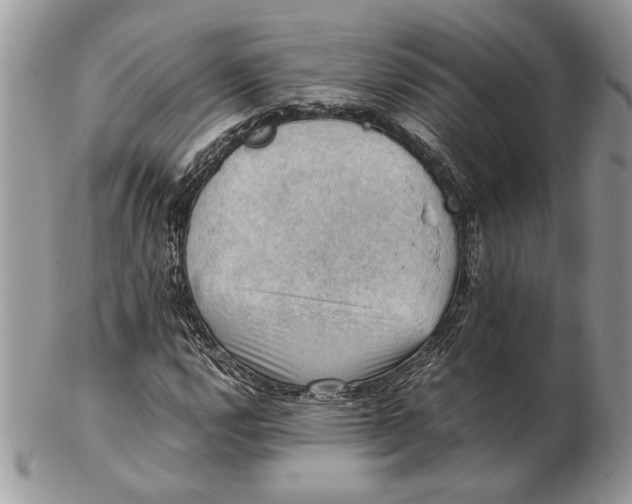 X0000102391112200808221819