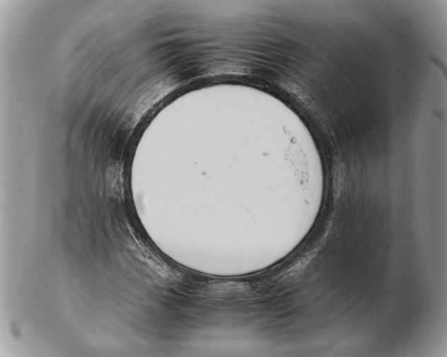 X0000102391113200808221819