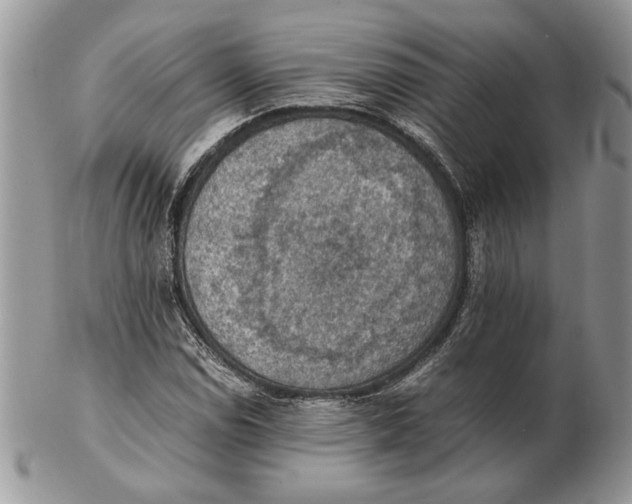 X0000102391114200808221819