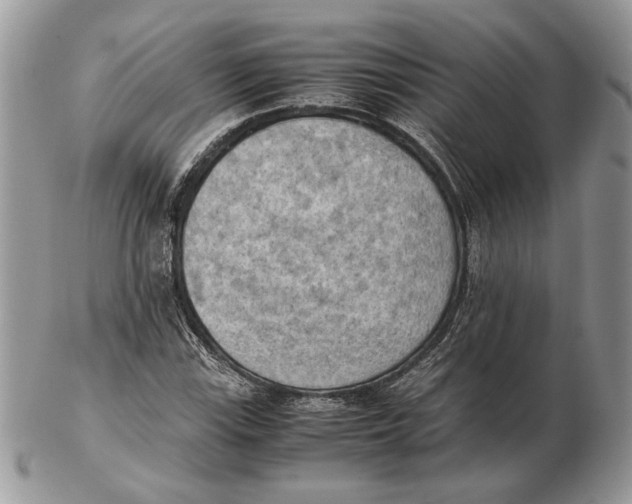 X0000102391115200808221819