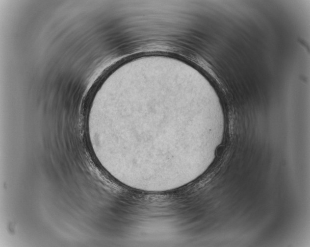 X0000102391116200808221819