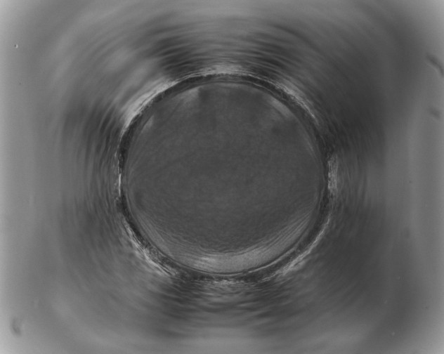 X0000102391117200808221819