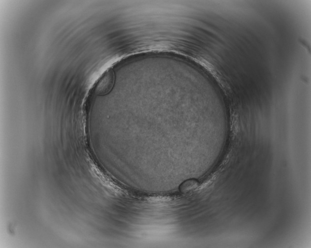 X0000102391118200808221819