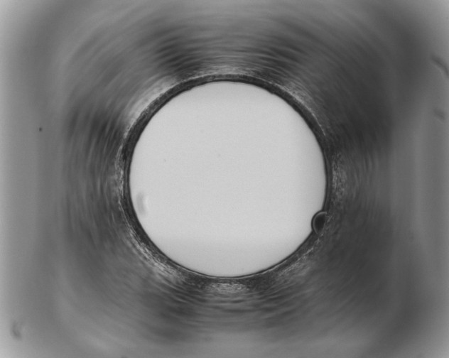 X0000102391119200808221819