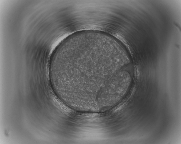 X0000102391120200808221819