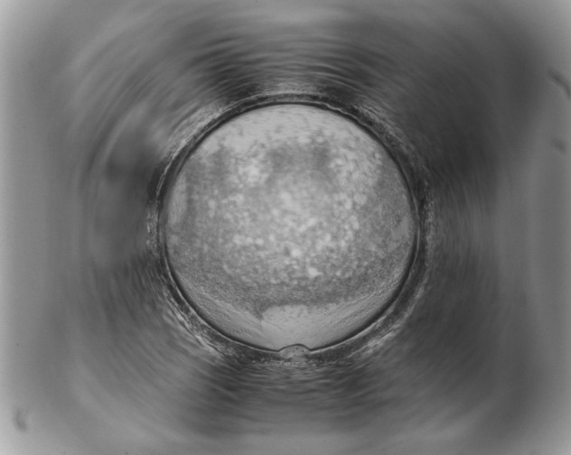 X0000102391121200808221819