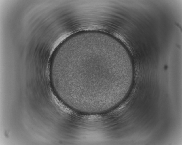 X0000102391122200808221819