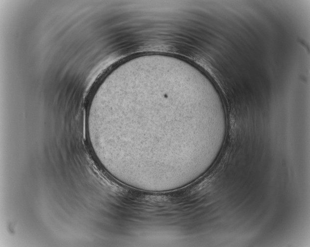 X0000102391123200808221819