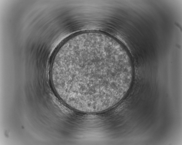 X0000102391124200808221819