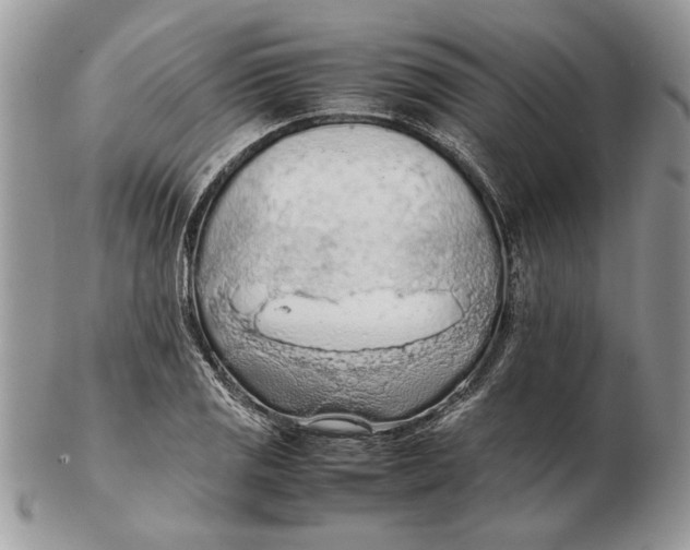 X0000102391125200808221819