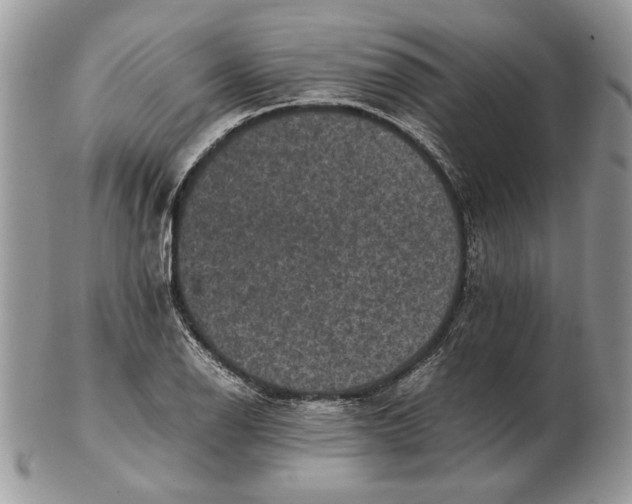 X0000102391126200808221819