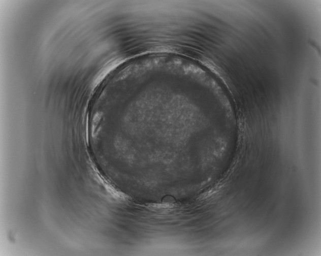 X0000102391127200808221819