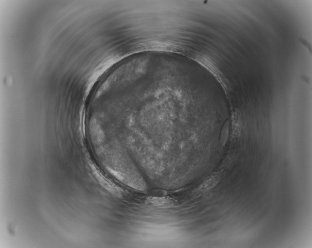 X0000102391128200808221819