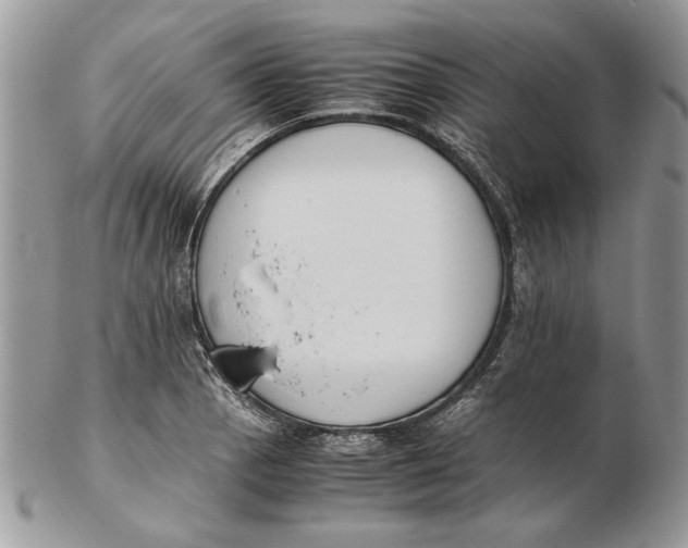 X0000102391129200808221819