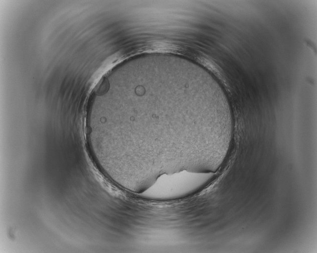 X0000102391130200808221819