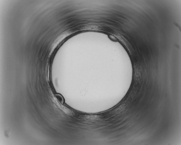 X0000102391131200808221819