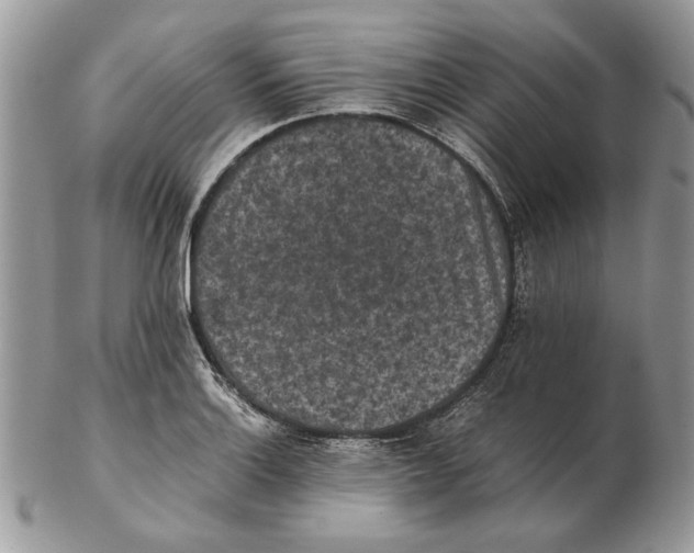 X0000102391132200808221819