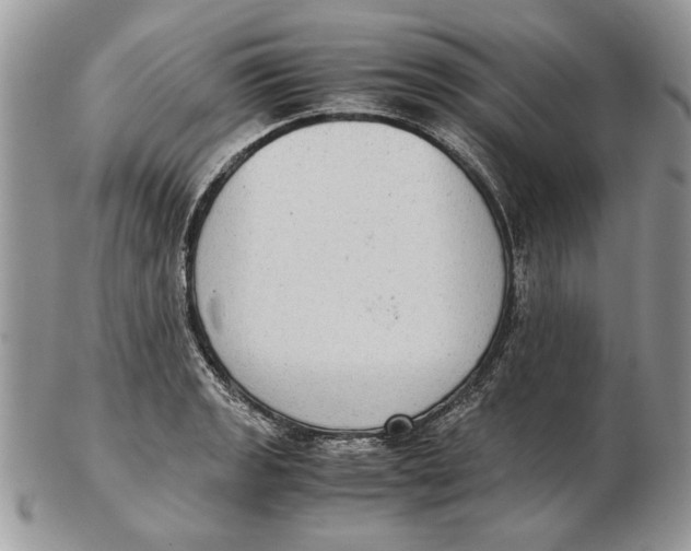 X0000102391133200808221819