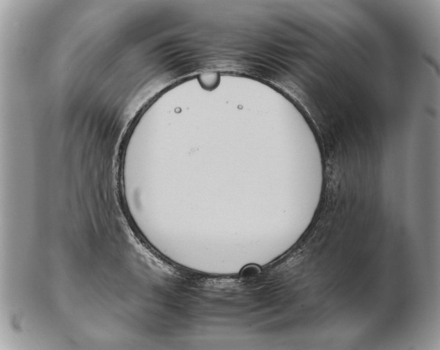 X0000102391135200808221819